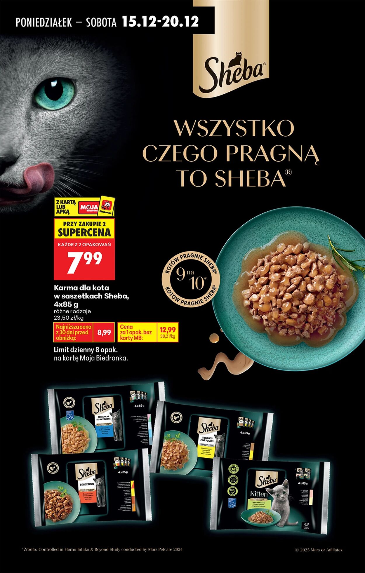 Gazetka Biedronka 15.12.2025 - 22.12.2025