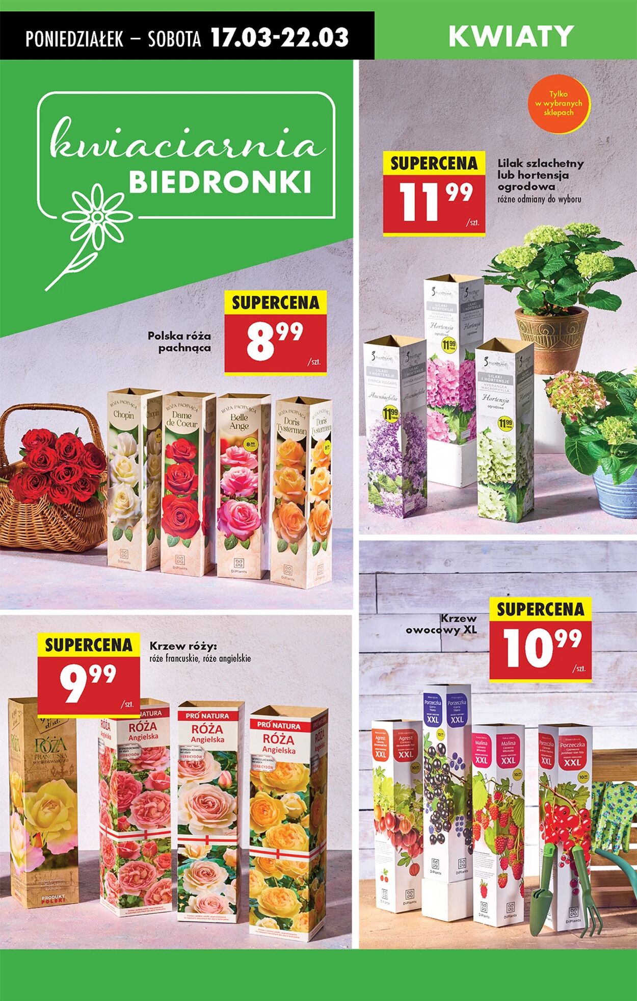 Gazetka Biedronka 17.03.2025 - 24.03.2025