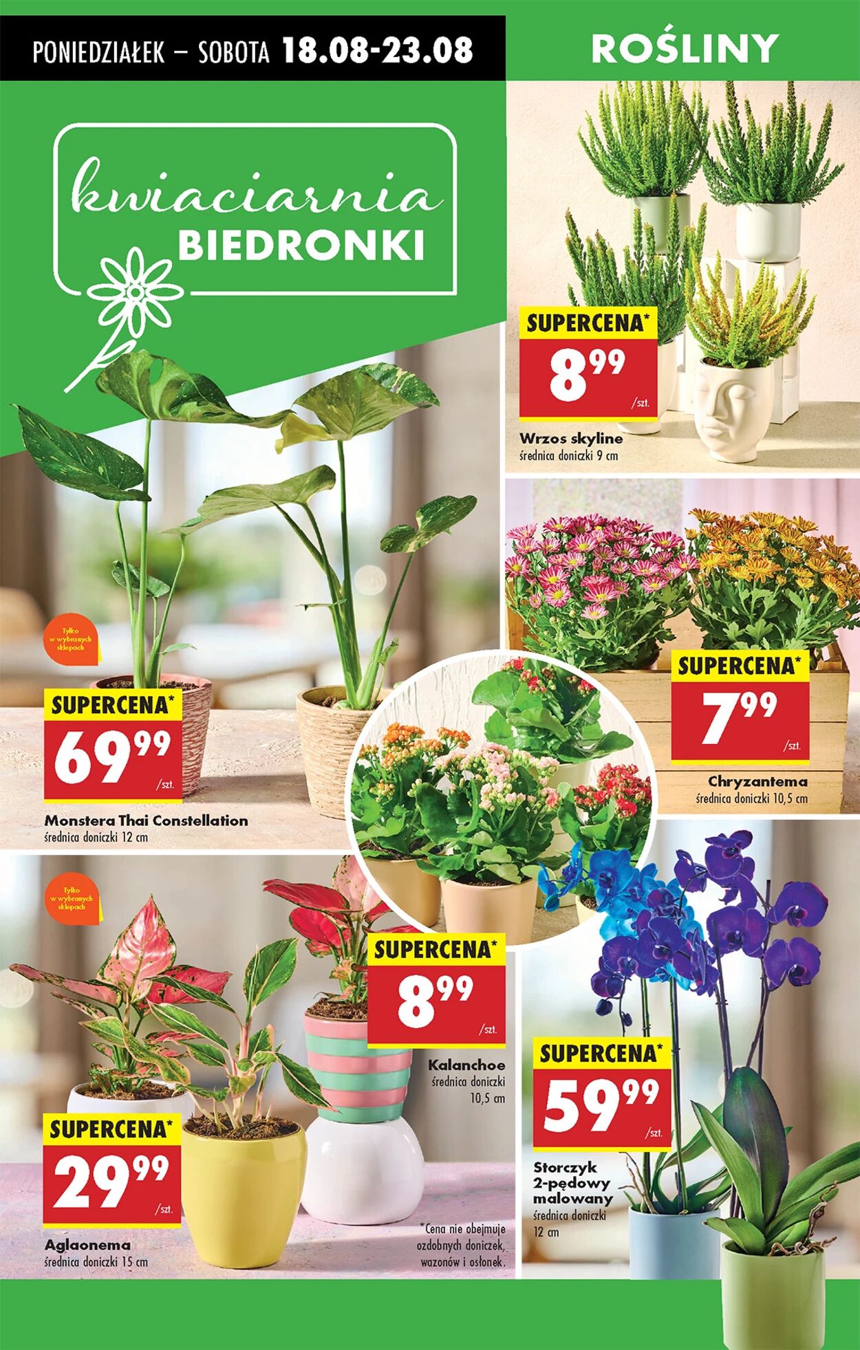 Gazetka Biedronka 18.08.2025 - 25.08.2025