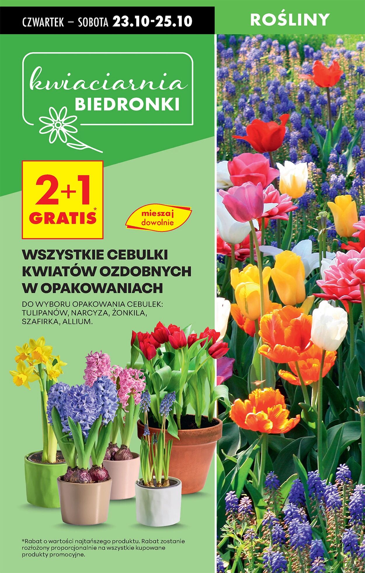 Gazetka Biedronka 23.10.2025 - 30.10.2025