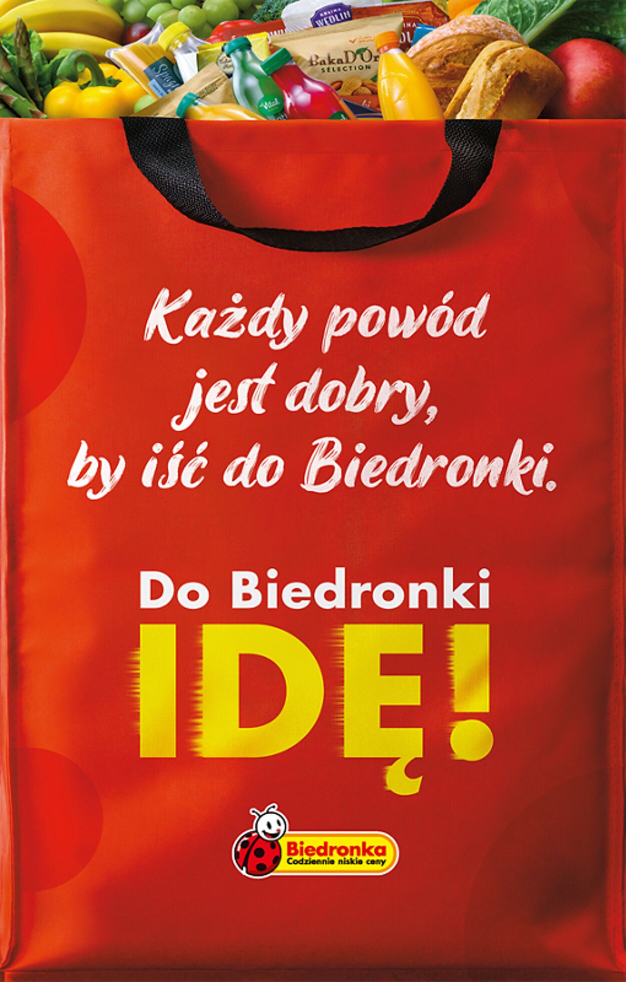 Gazetka Biedronka 16.01.2023 - 21.01.2023