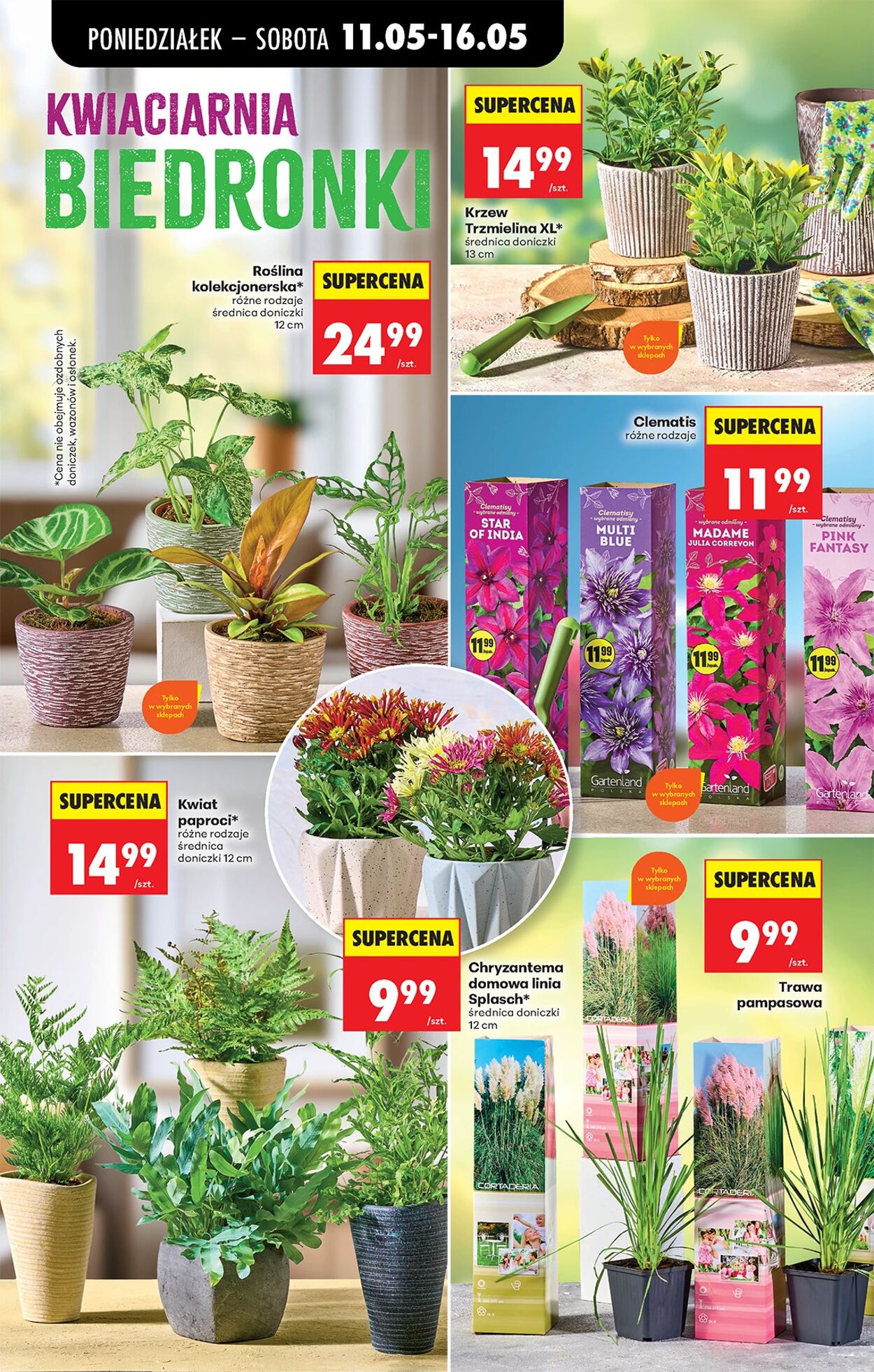 Gazetka Biedronka 11.05.2026 - 18.05.2026