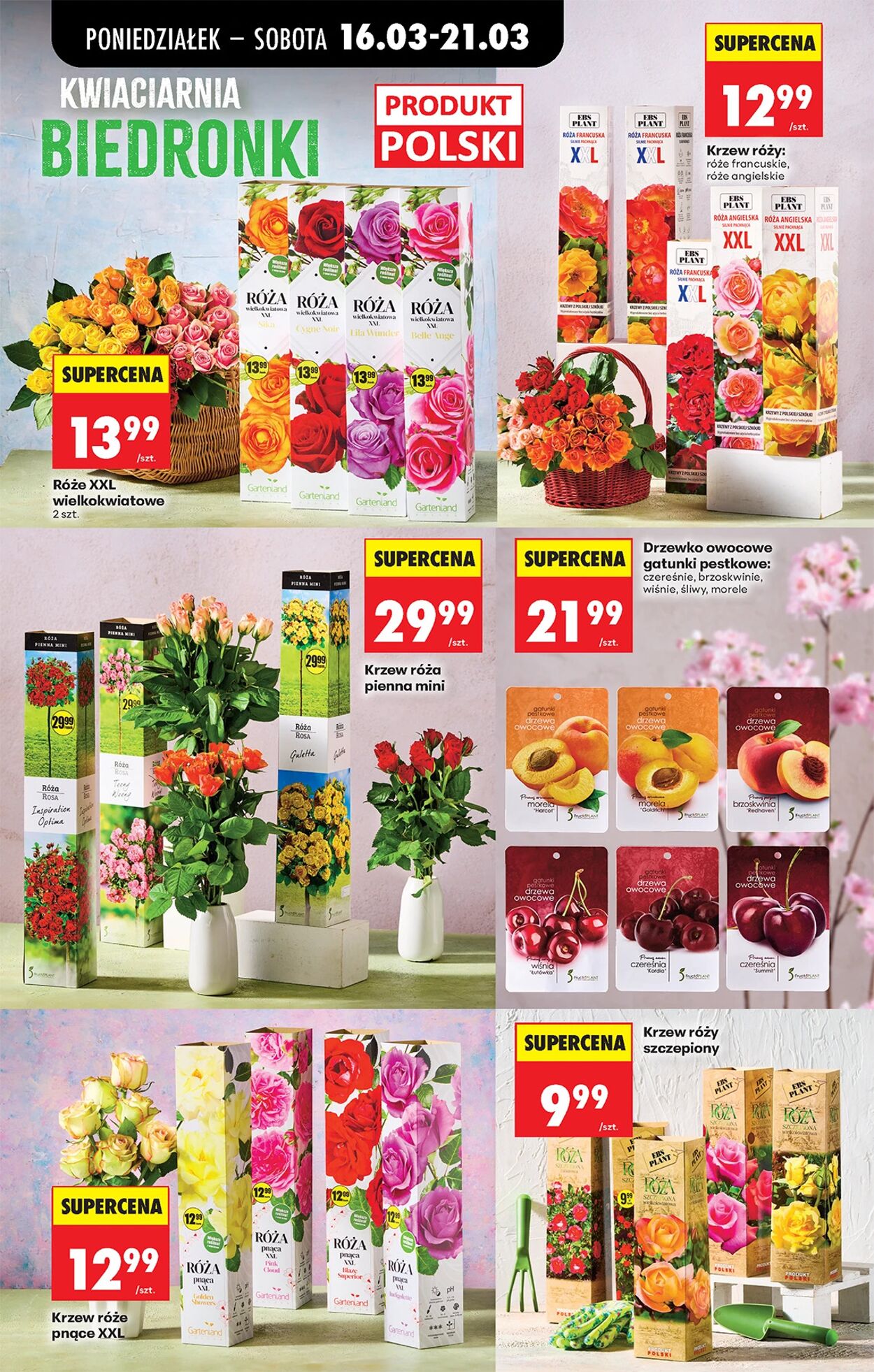 Gazetka Biedronka 16.03.2026 - 23.03.2026