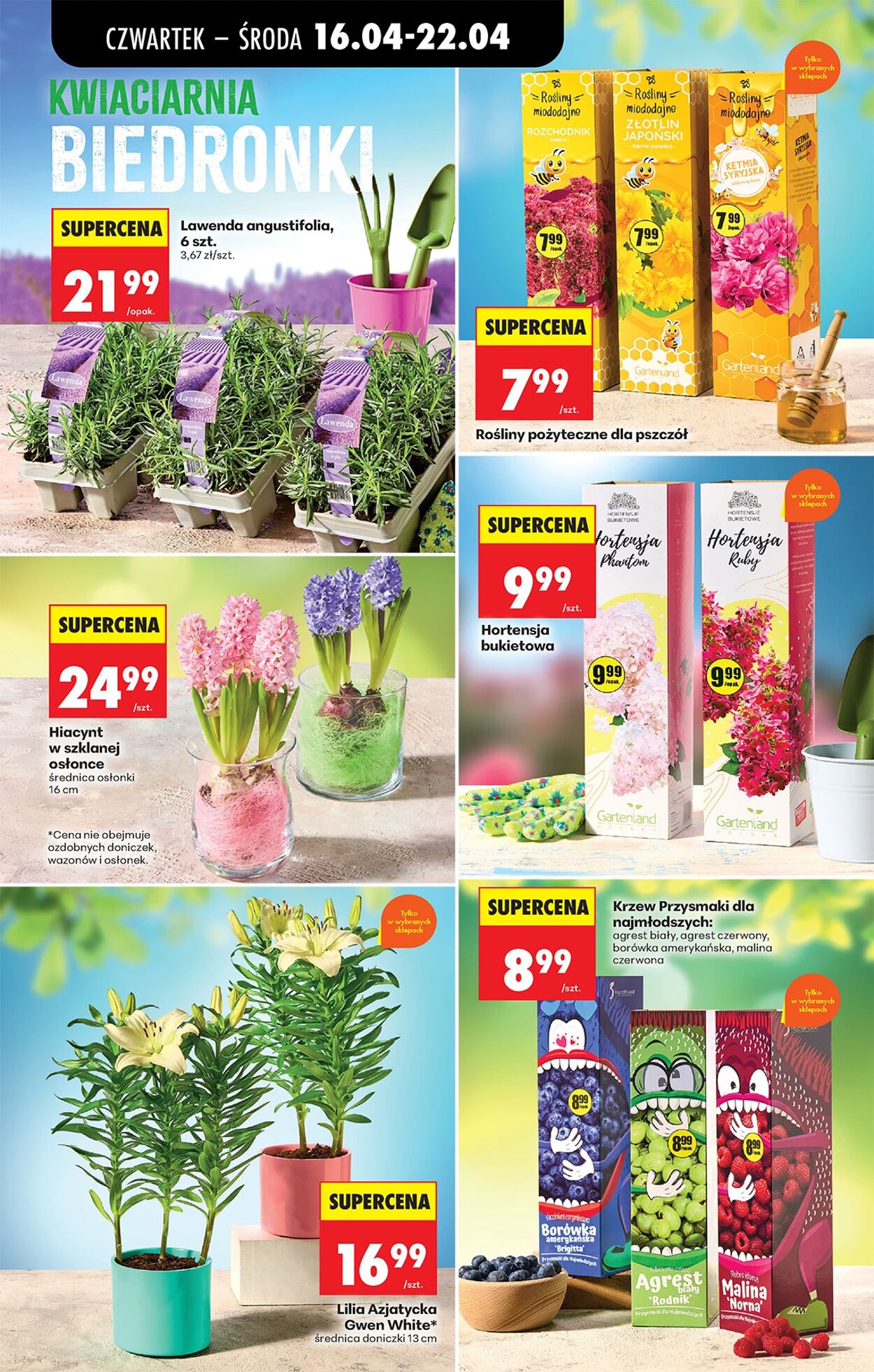 Gazetka Biedronka 16.04.2026 - 23.04.2026