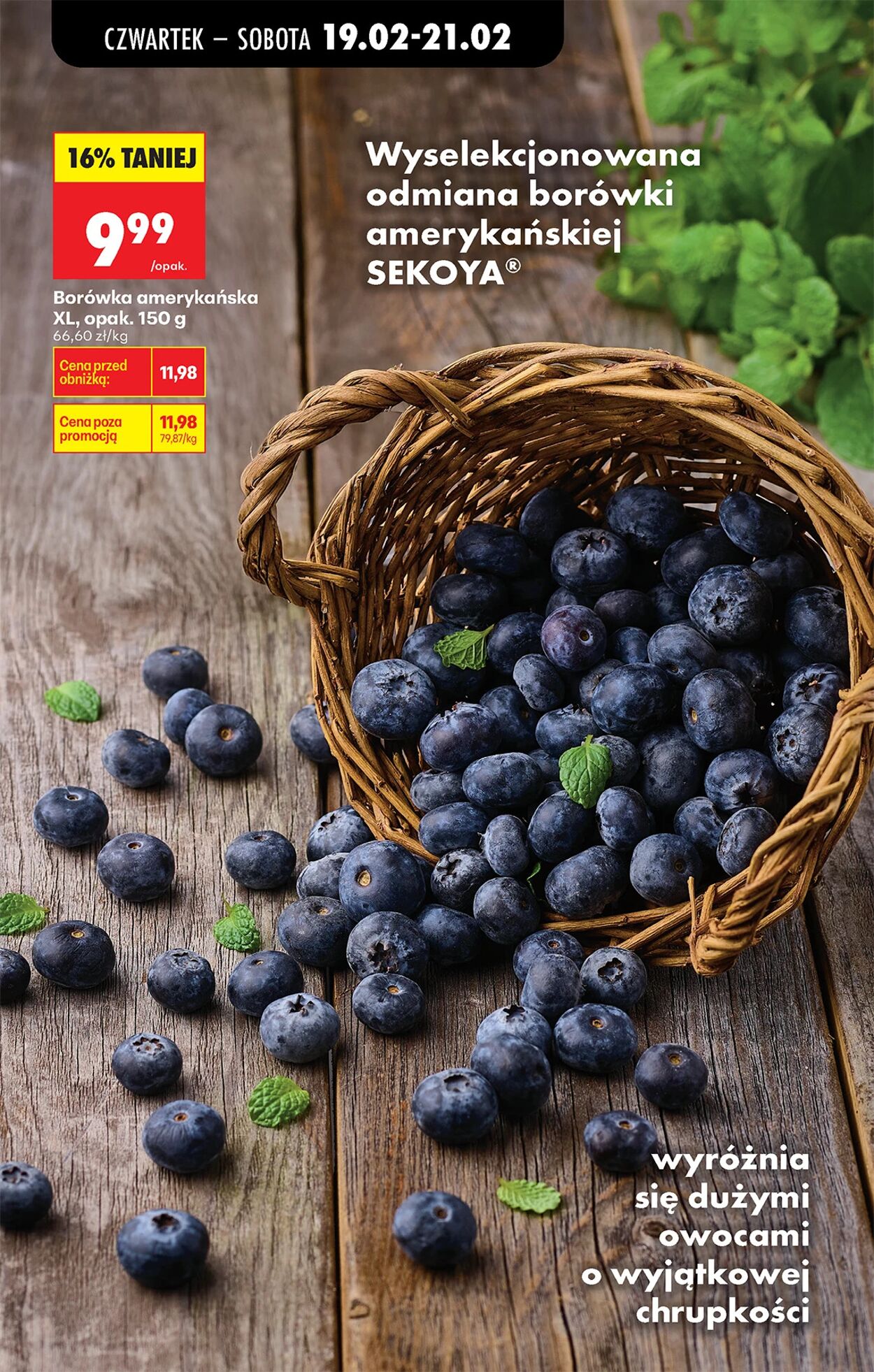 Gazetka Biedronka 19.02.2026 - 26.02.2026