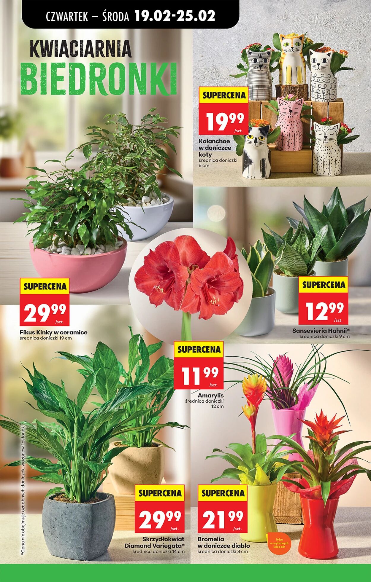 Gazetka Biedronka 19.02.2026 - 26.02.2026