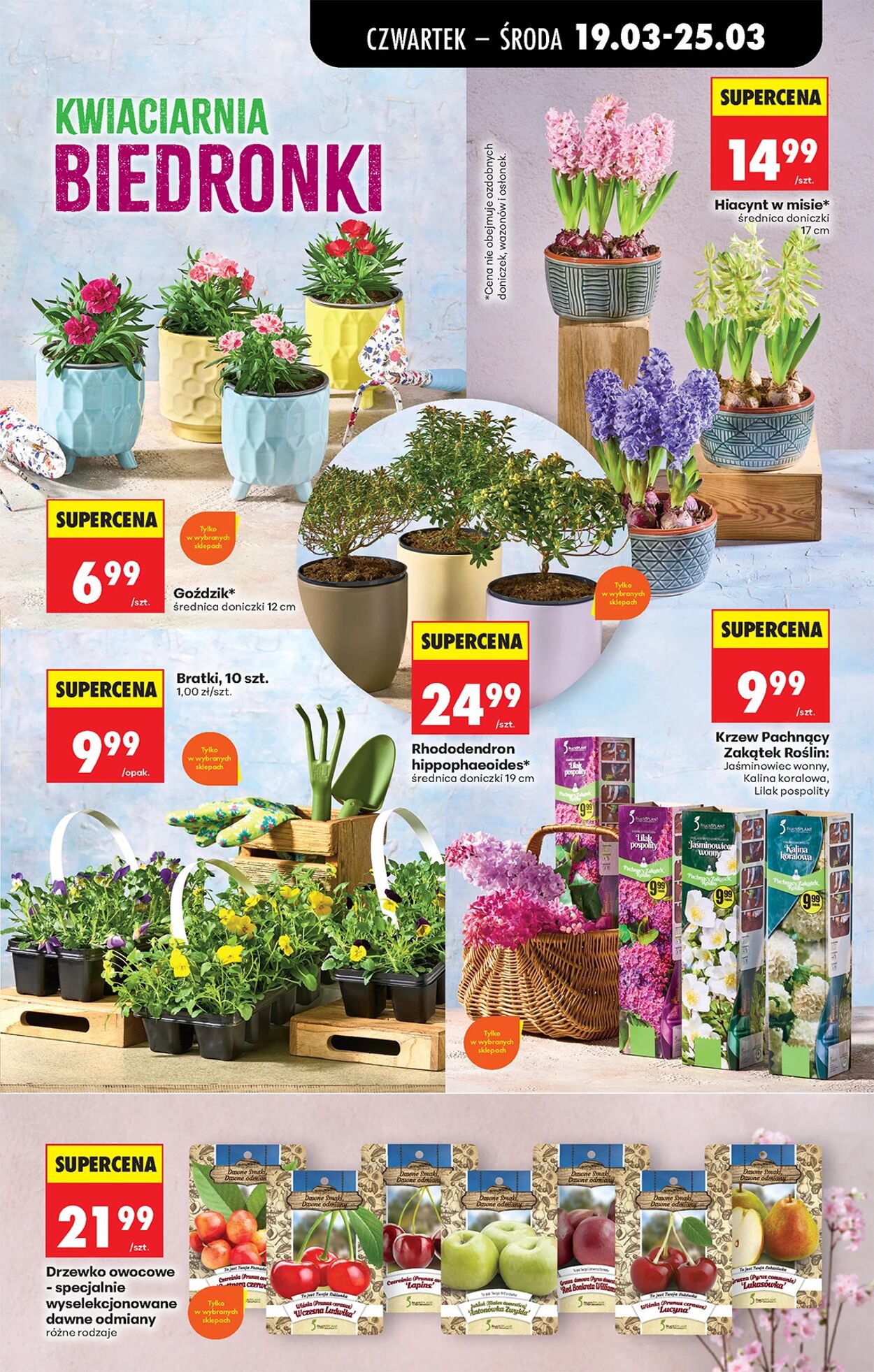 Gazetka Biedronka 19.03.2026 - 26.03.2026