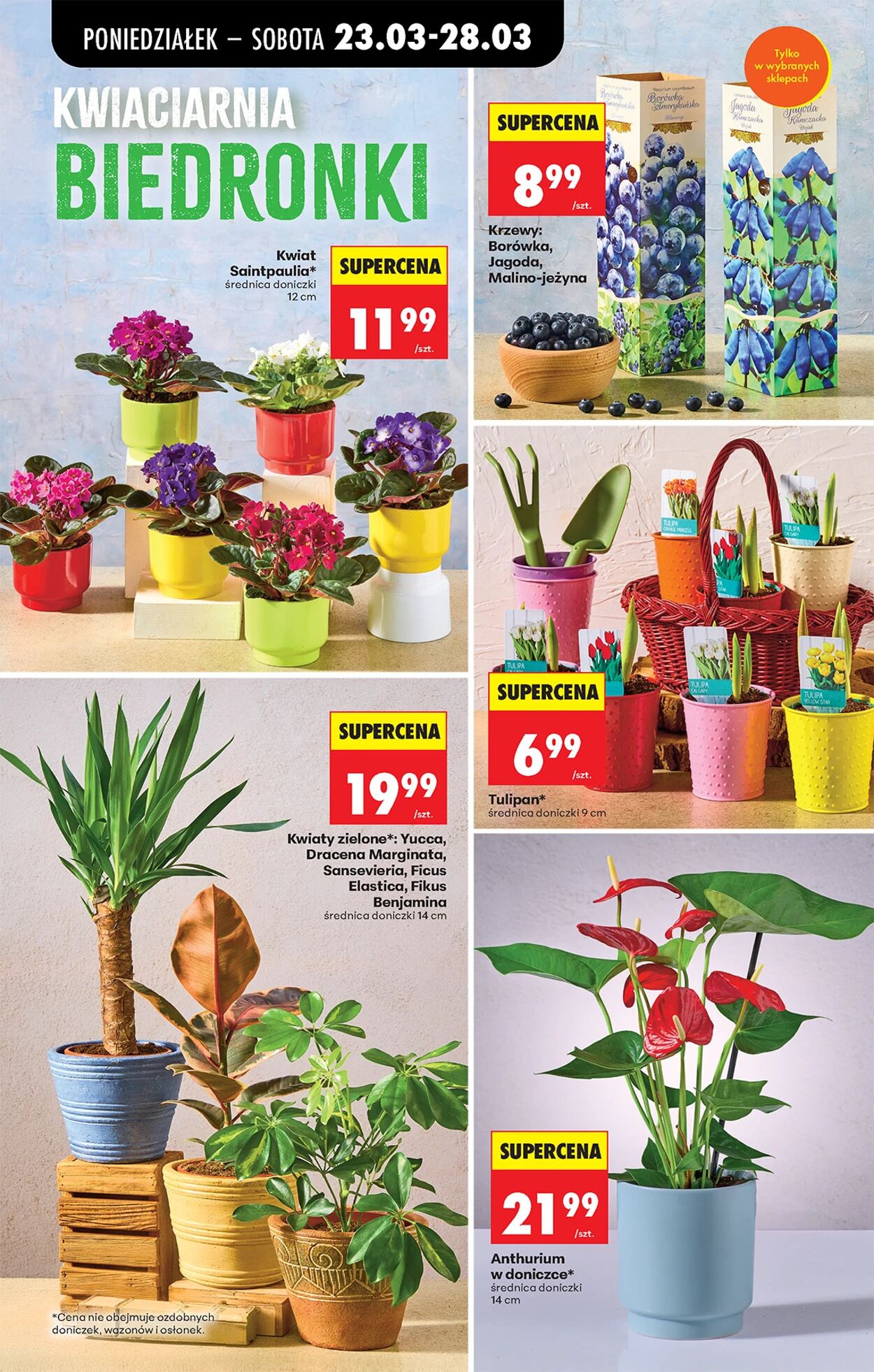 Gazetka Biedronka 23.03.2026 - 30.03.2026