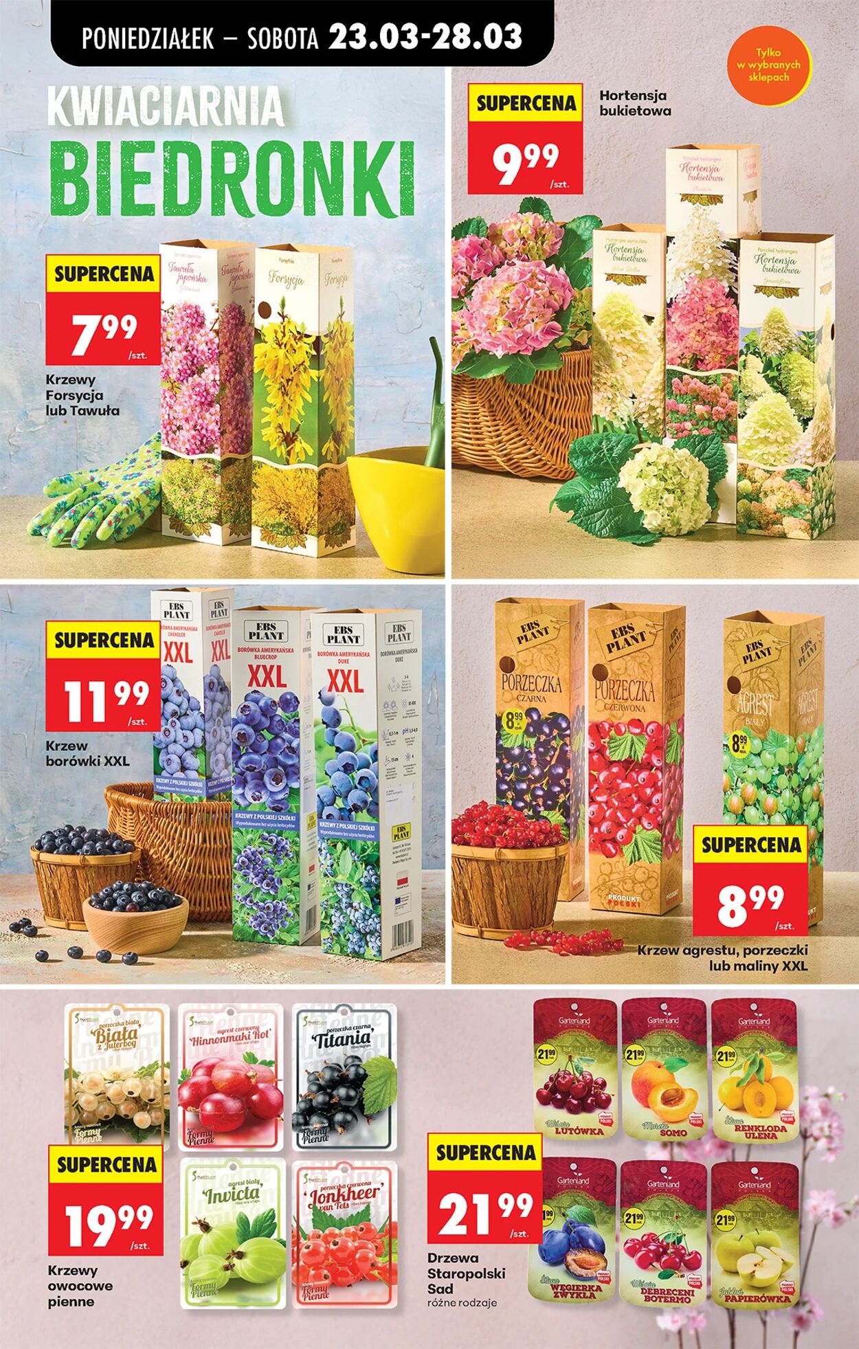 Gazetka Biedronka 23.03.2026 - 30.03.2026