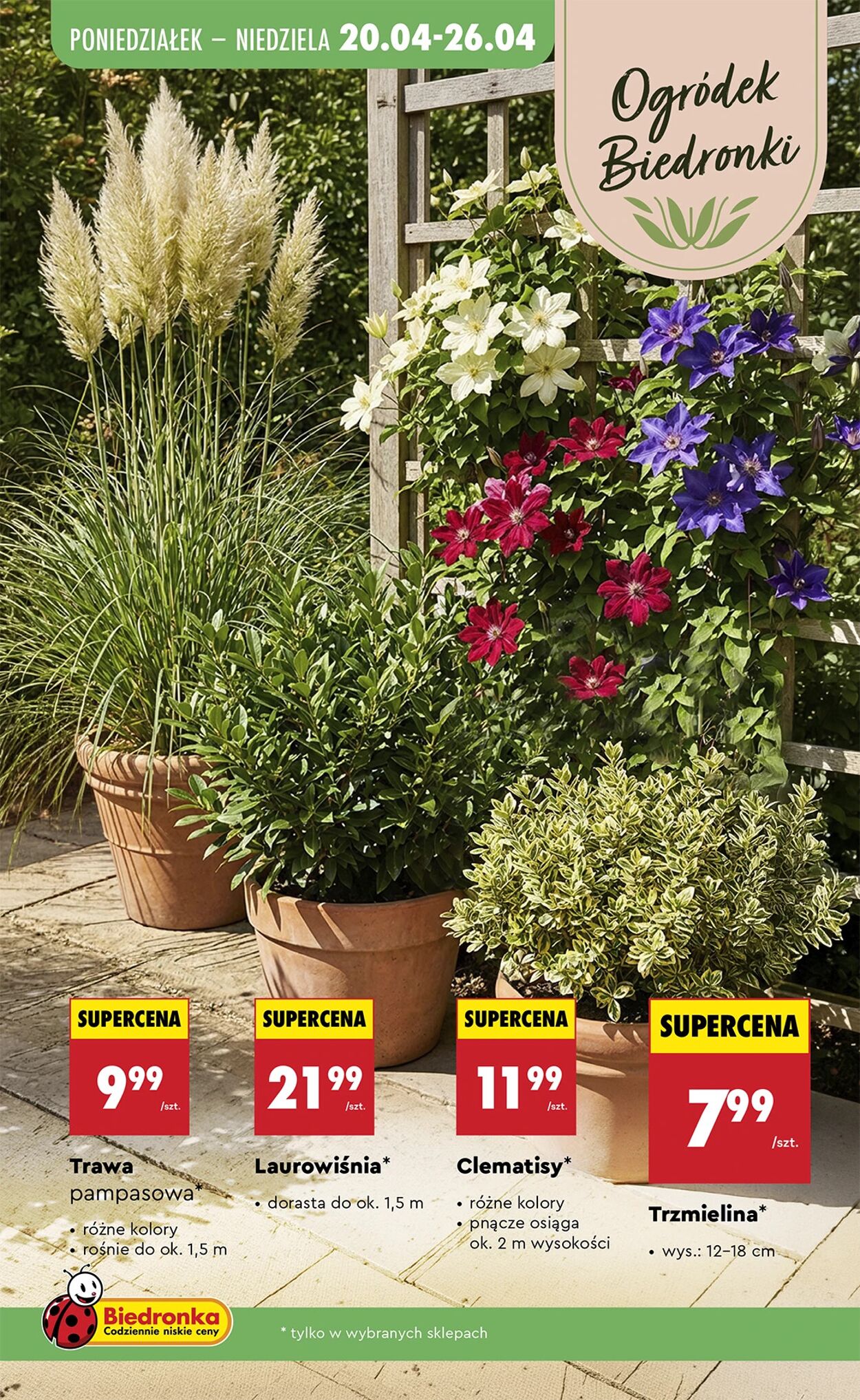 Gazetka Biedronka 23.04.2026 - 30.04.2026