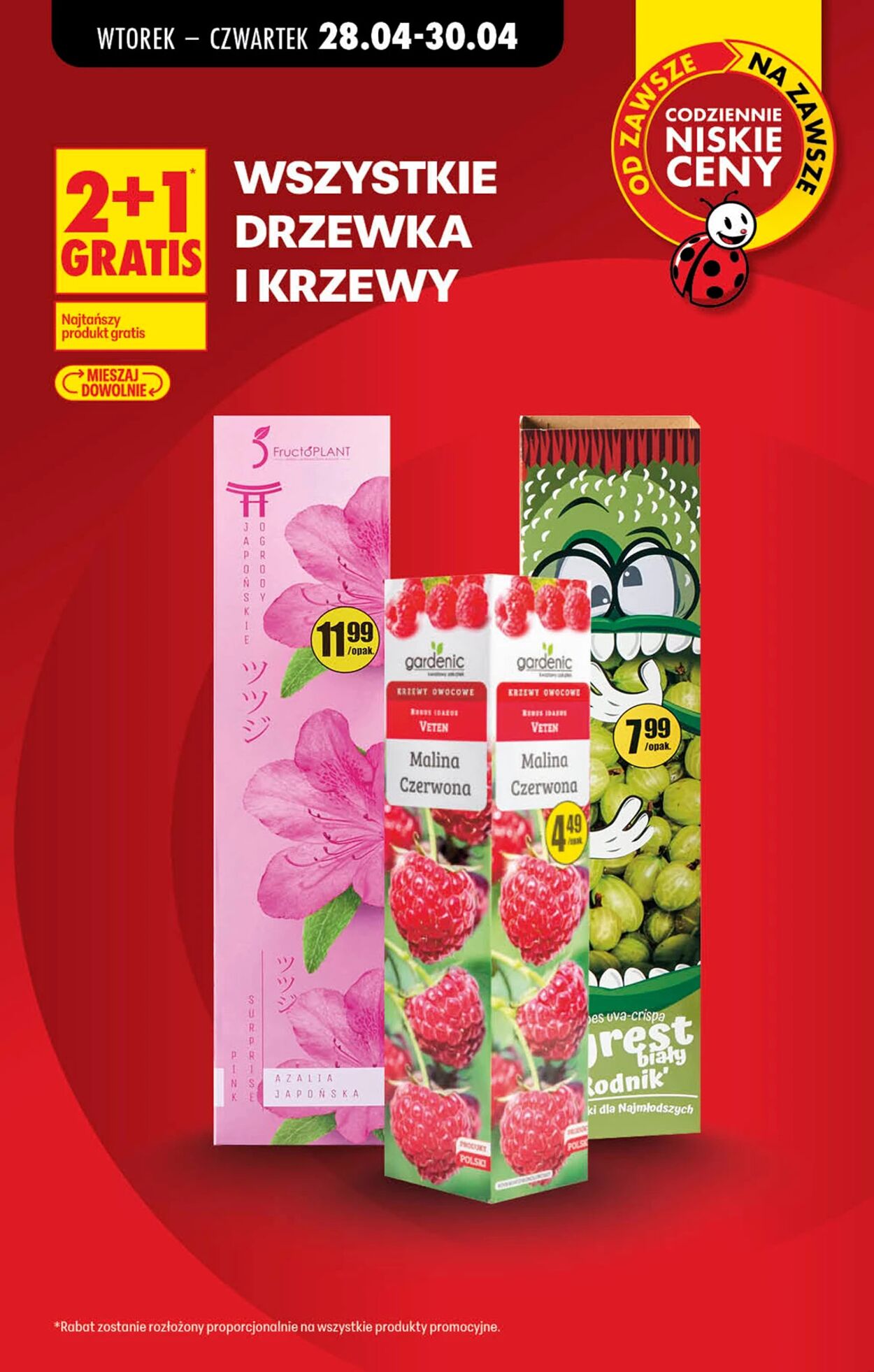 Gazetka Biedronka 29.04.2026 - 06.05.2026
