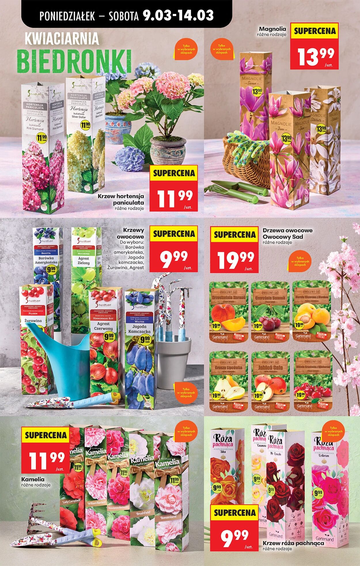 Gazetka Biedronka 16.03.2026 - 22.03.2026