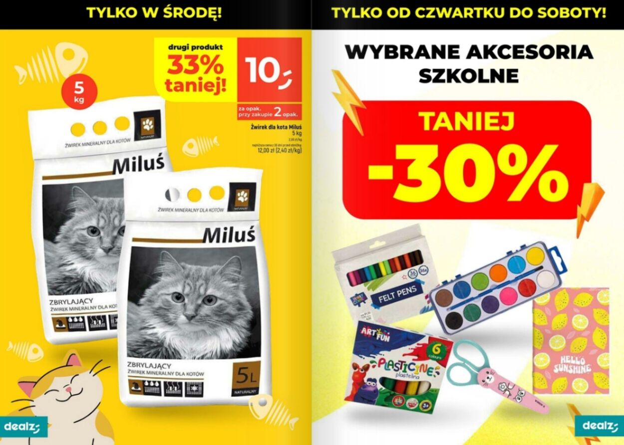 Gazetka Dealz 30.01.2025 - 05.02.2025