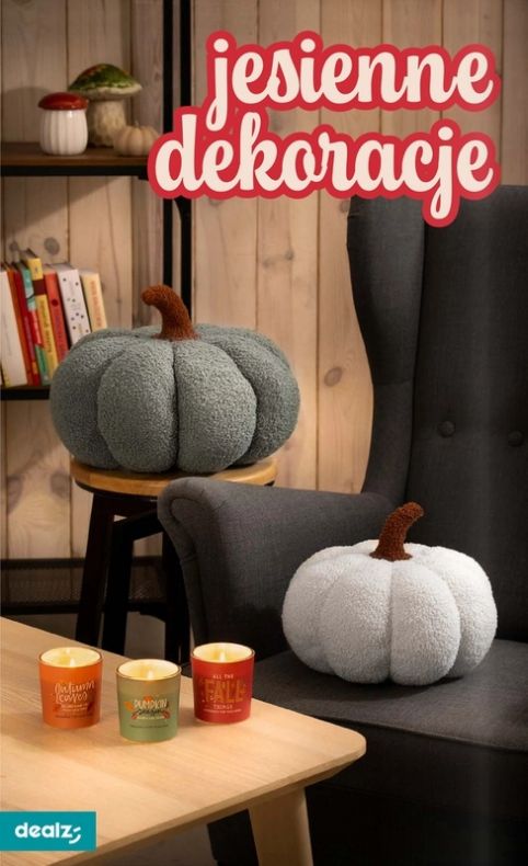 Gazetka Dealz 21.08.2025 - 27.08.2025