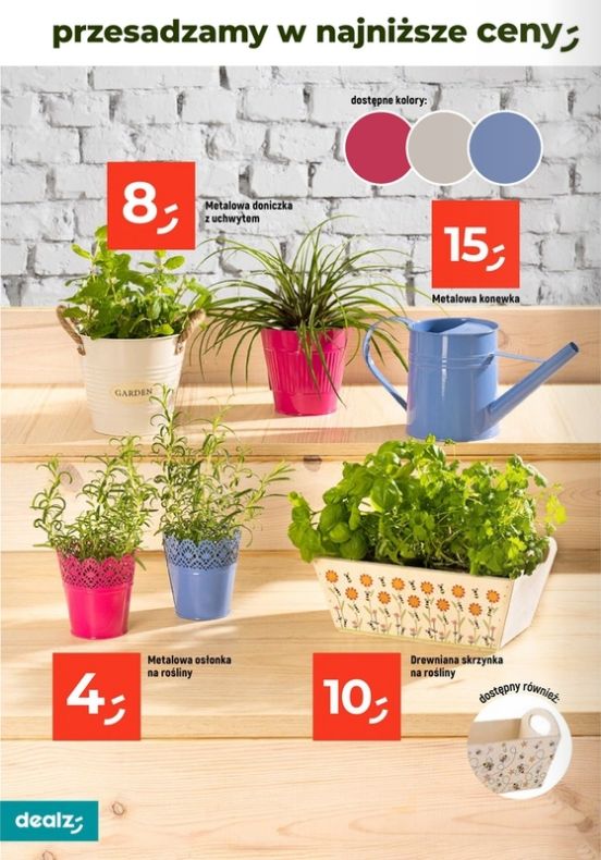 Gazetka Dealz 13.02.2025 - 31.07.2025