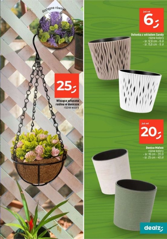 Gazetka Dealz 13.02.2025 - 31.07.2025