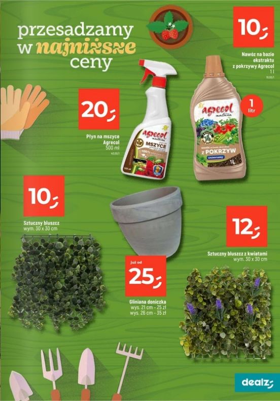 Gazetka Dealz 13.02.2025 - 31.07.2025