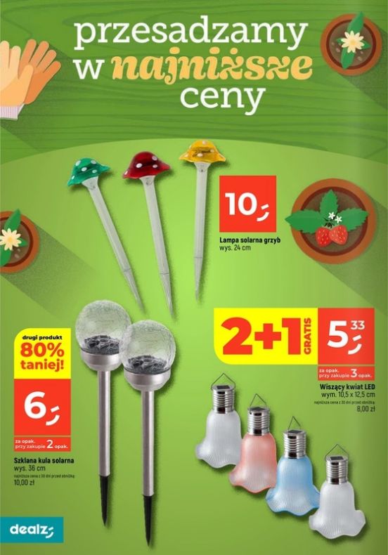 Gazetka Dealz 13.02.2025 - 31.07.2025
