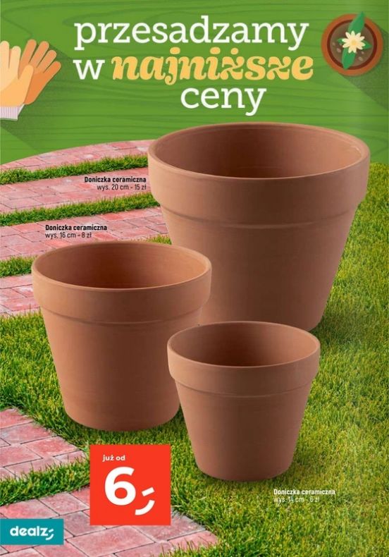 Gazetka Dealz 13.02.2025 - 31.07.2025