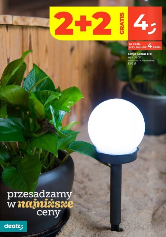 Gazetka Dealz 13.02.2025 - 31.07.2025