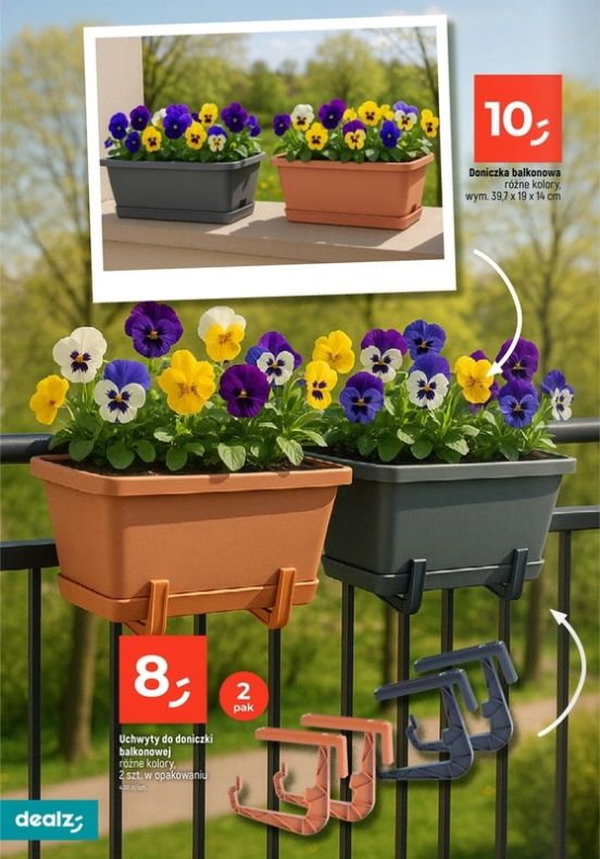 Gazetka Dealz 13.02.2025 - 31.07.2025