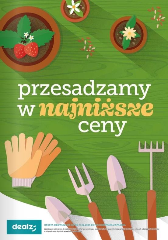 Gazetka Dealz 13.02.2025 - 31.07.2025