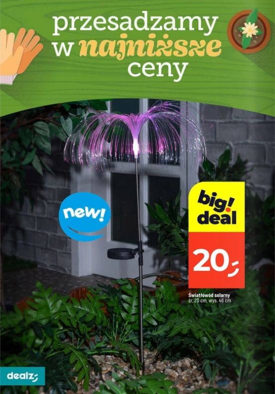 Gazetka Dealz 13.02.2025 - 31.07.2025