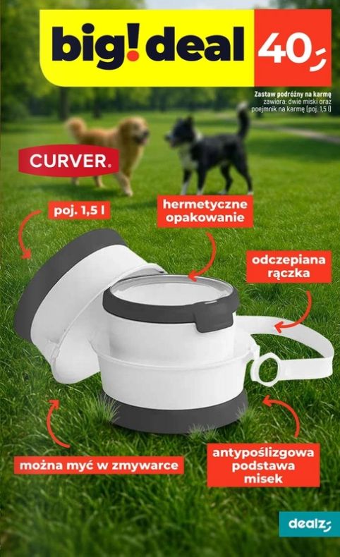 Gazetka Dealz 18.06.2025 - 25.06.2025