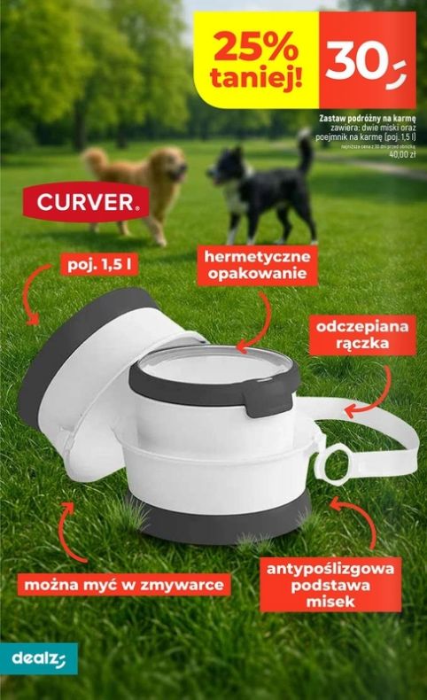 Gazetka Dealz 31.07.2025 - 06.08.2025