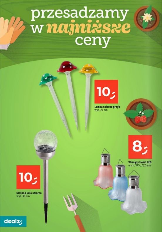 Gazetka Dealz 13.02.2025 - 30.06.2025