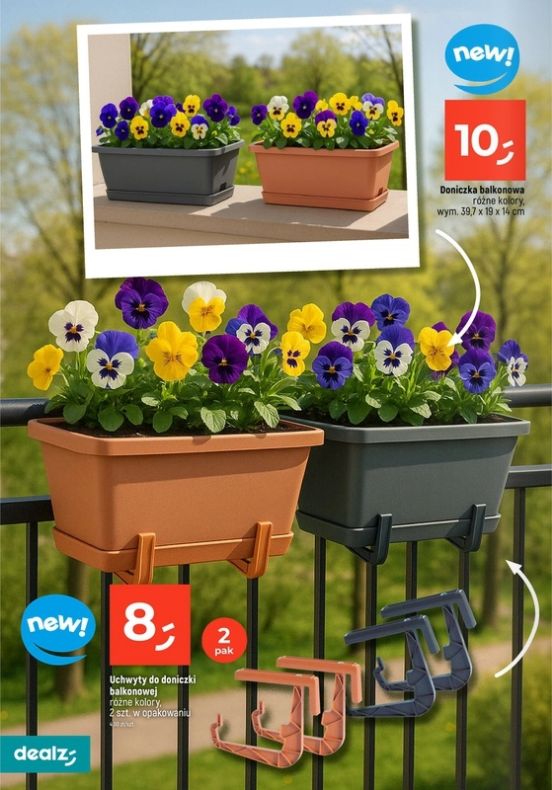 Gazetka Dealz 13.02.2025 - 30.06.2025
