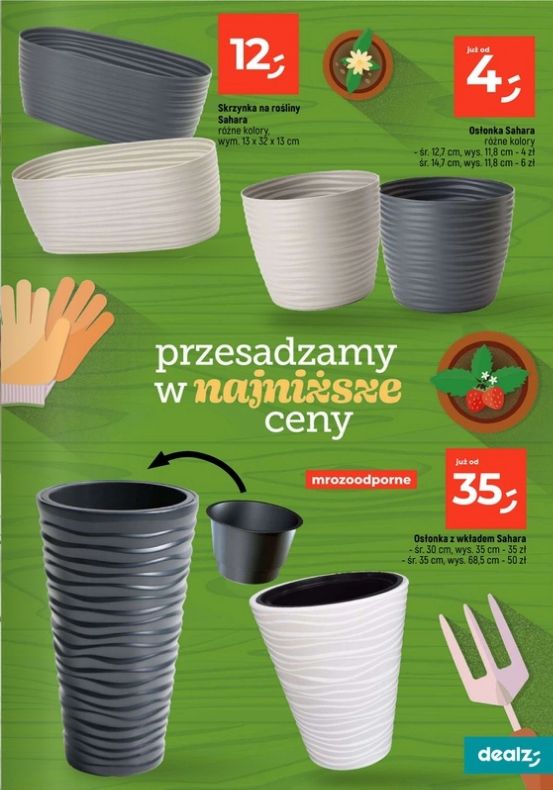 Gazetka Dealz 13.02.2025 - 30.06.2025