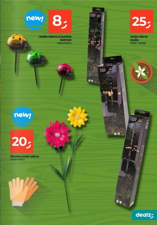 Gazetka Dealz 13.02.2025 - 30.06.2025