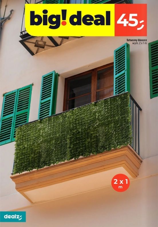 Gazetka Dealz 13.02.2025 - 30.06.2025