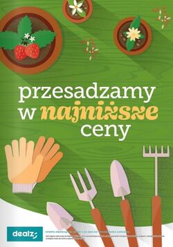 Gazetka Dealz 13.02.2025 - 30.06.2025