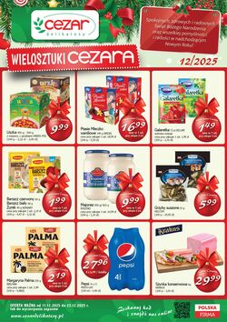 Gazetka Delikatesy Cezar 08.04.2026 - 15.04.2026