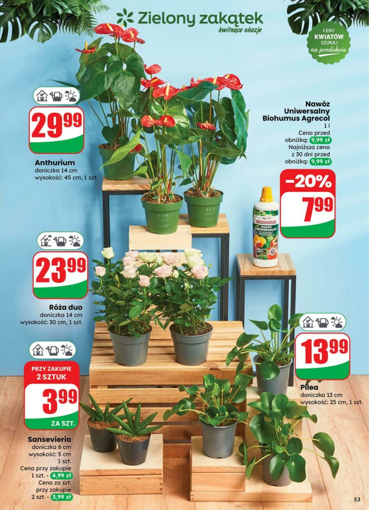 Gazetka DINO 16.07.2025 - 22.07.2025