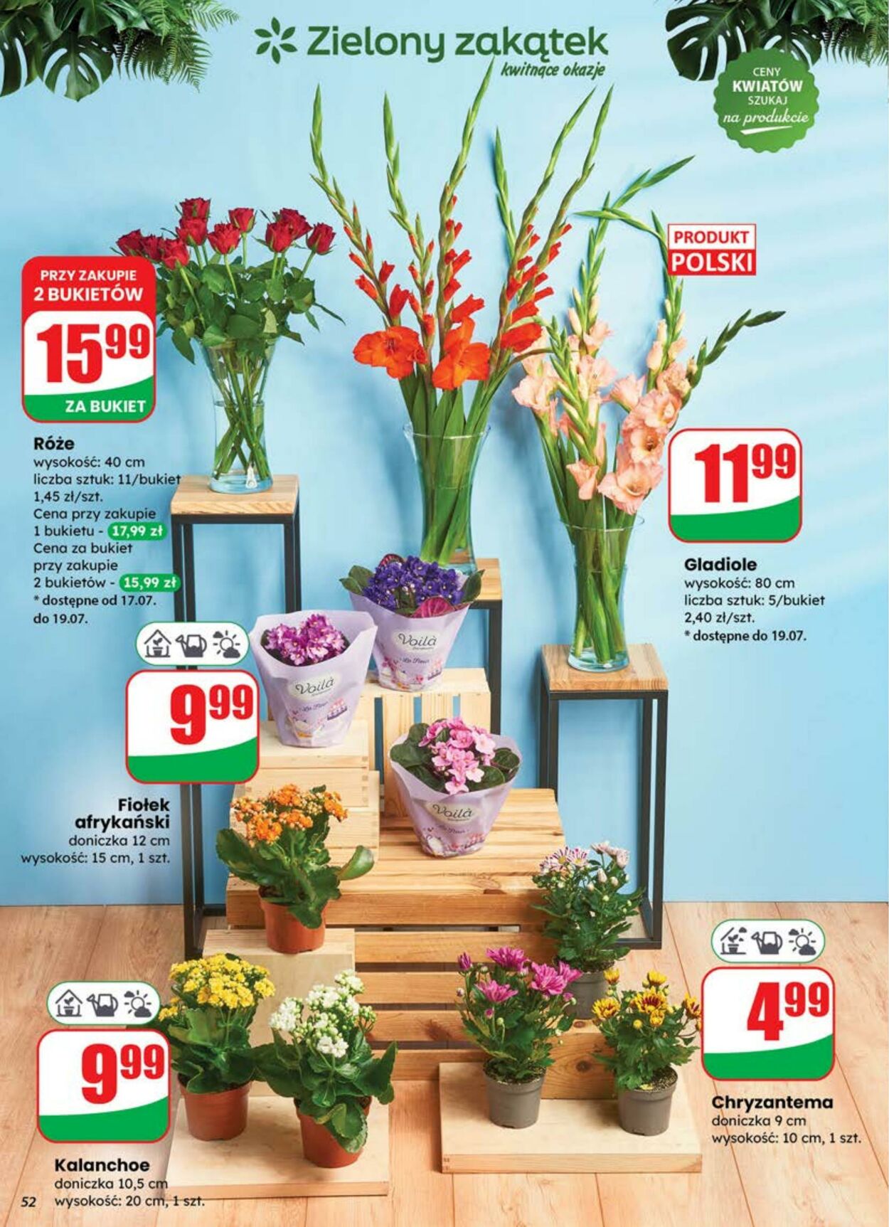 Gazetka DINO 16.07.2025 - 22.07.2025