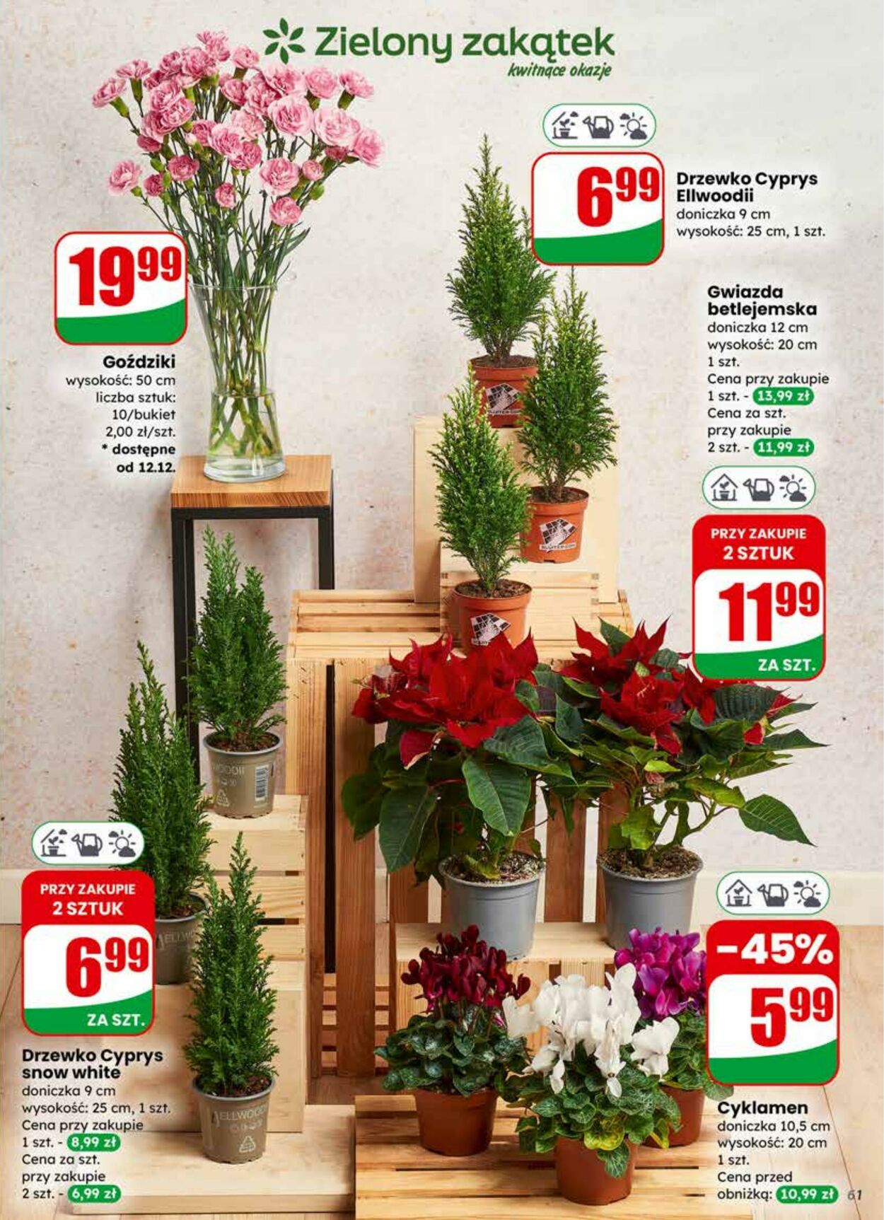 Gazetka DINO 10.12.2025 - 16.12.2025