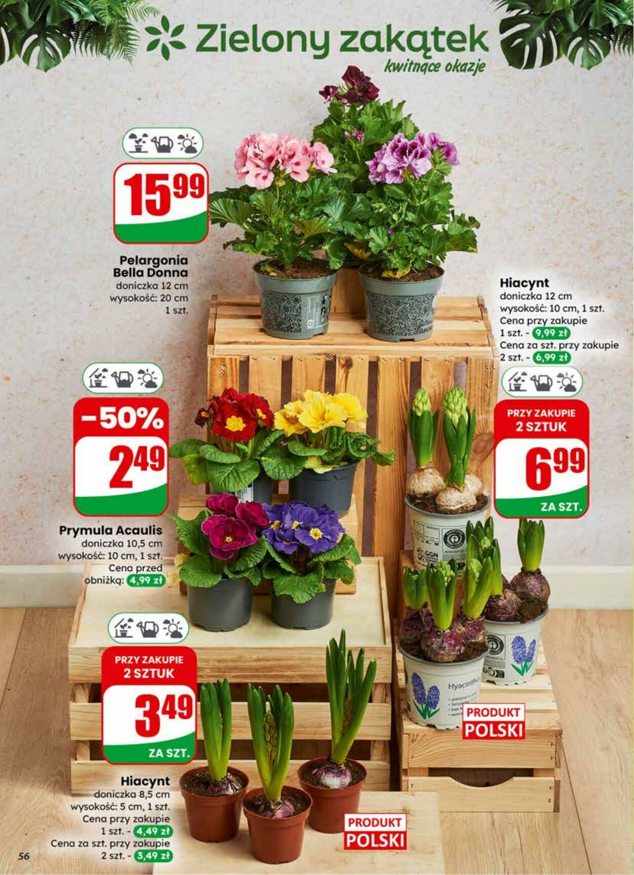 Gazetka DINO 25.02.2026 - 03.03.2026
