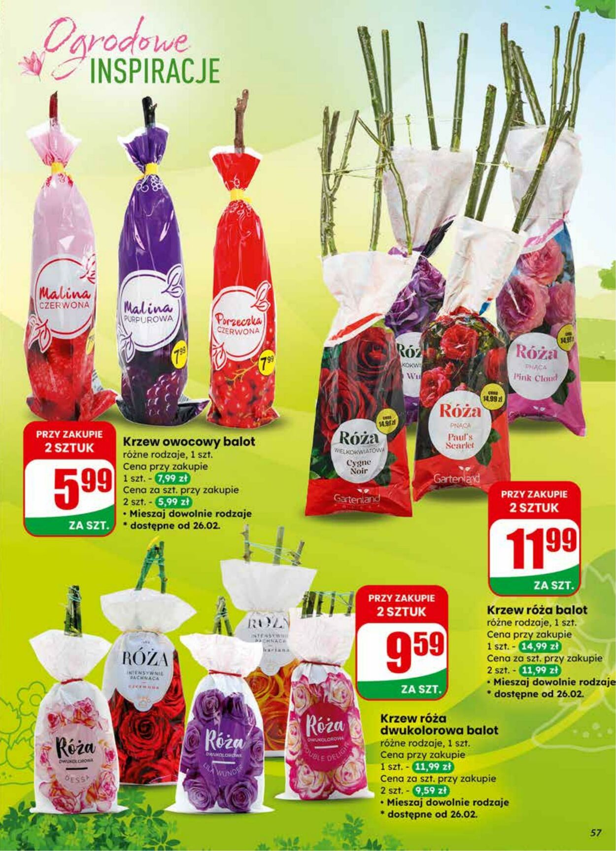 Gazetka DINO 25.02.2026 - 03.03.2026