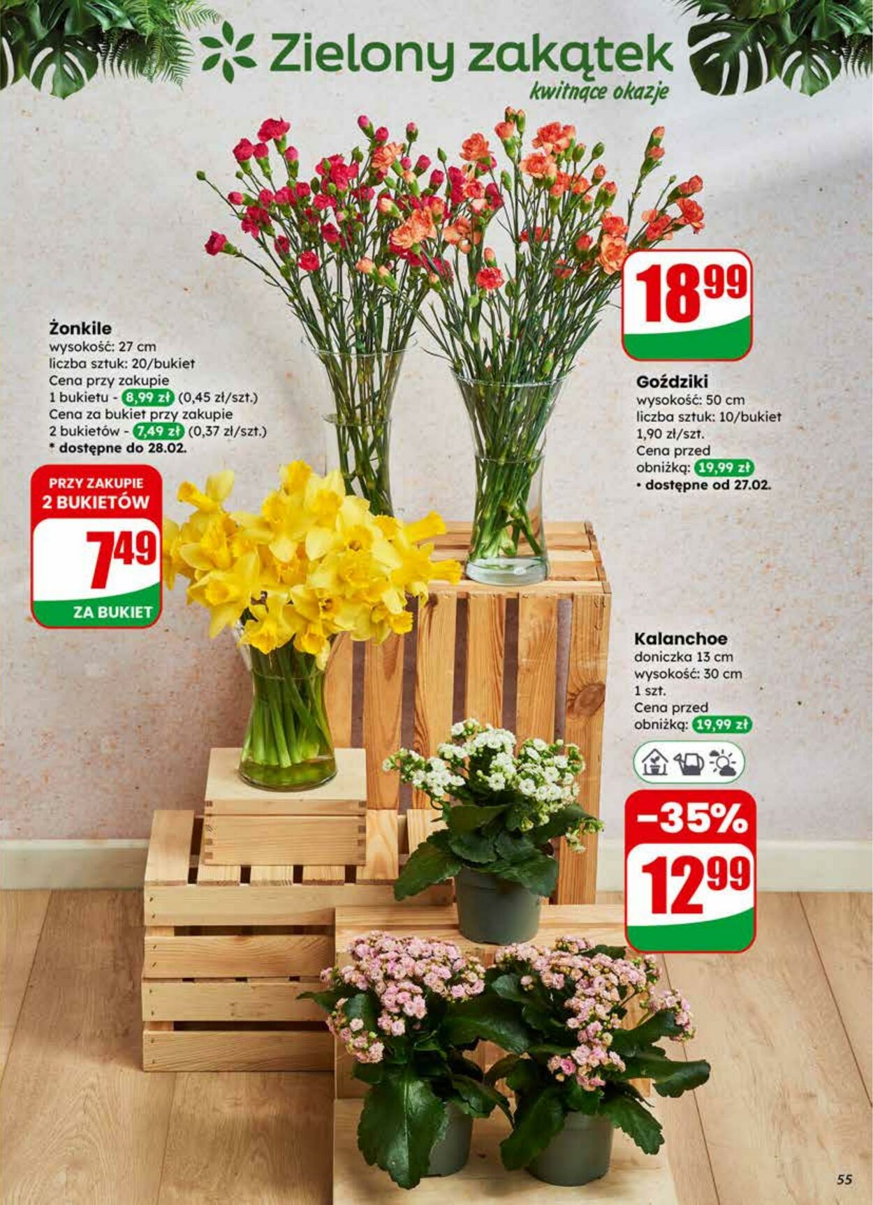 Gazetka DINO 25.02.2026 - 03.03.2026