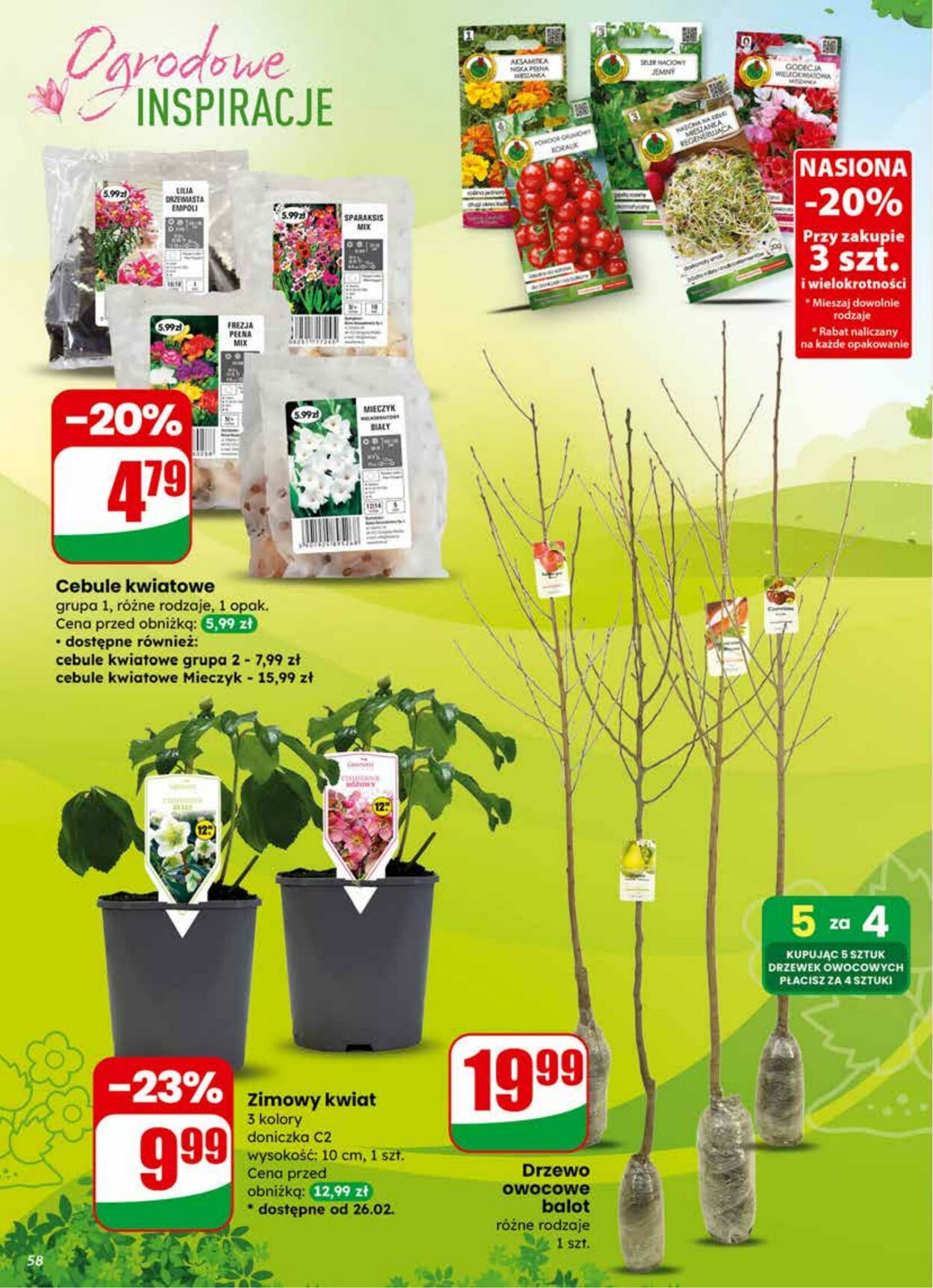 Gazetka DINO 25.02.2026 - 03.03.2026