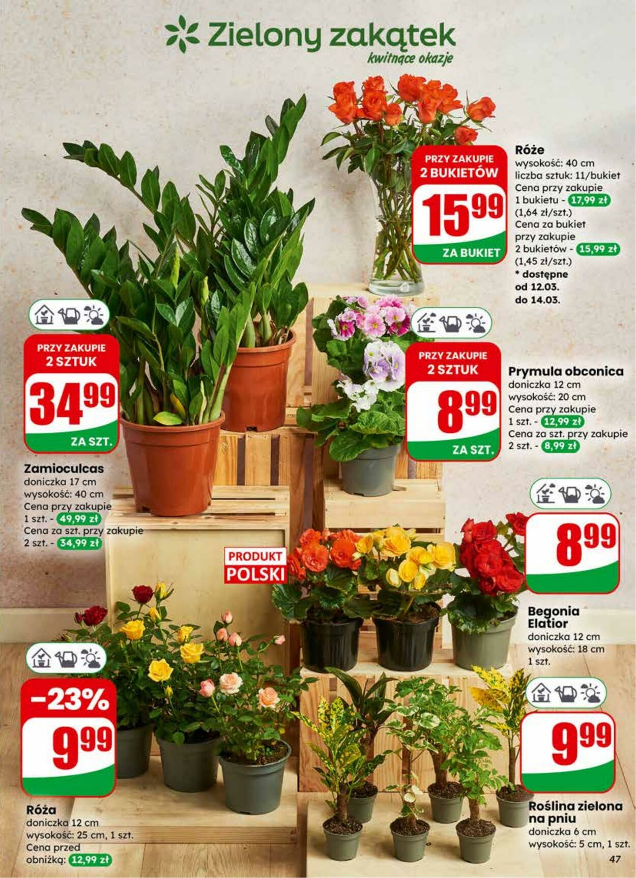 Gazetka DINO 11.03.2026 - 17.03.2026