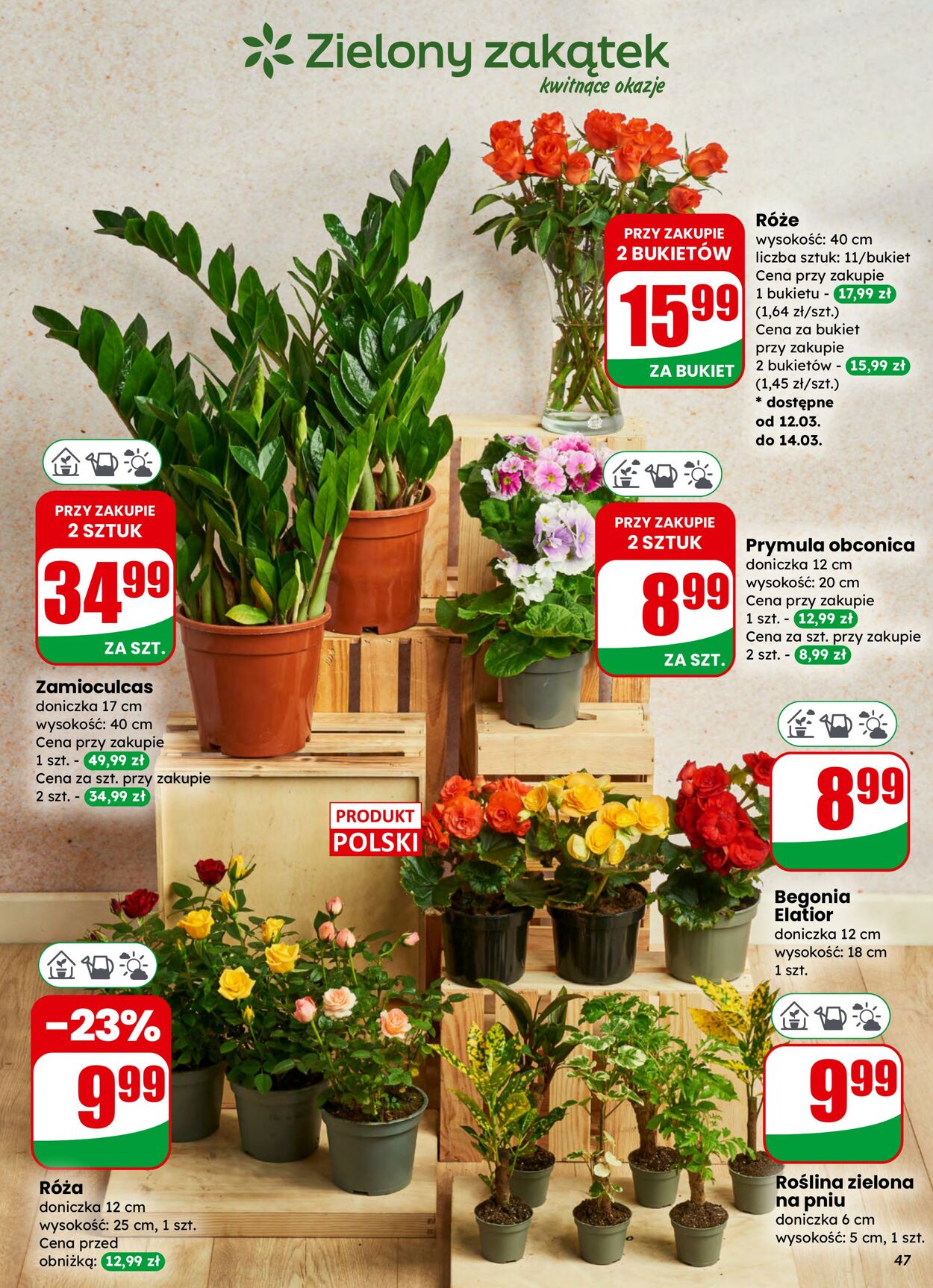 Gazetka DINO 11.03.2026 - 17.03.2026