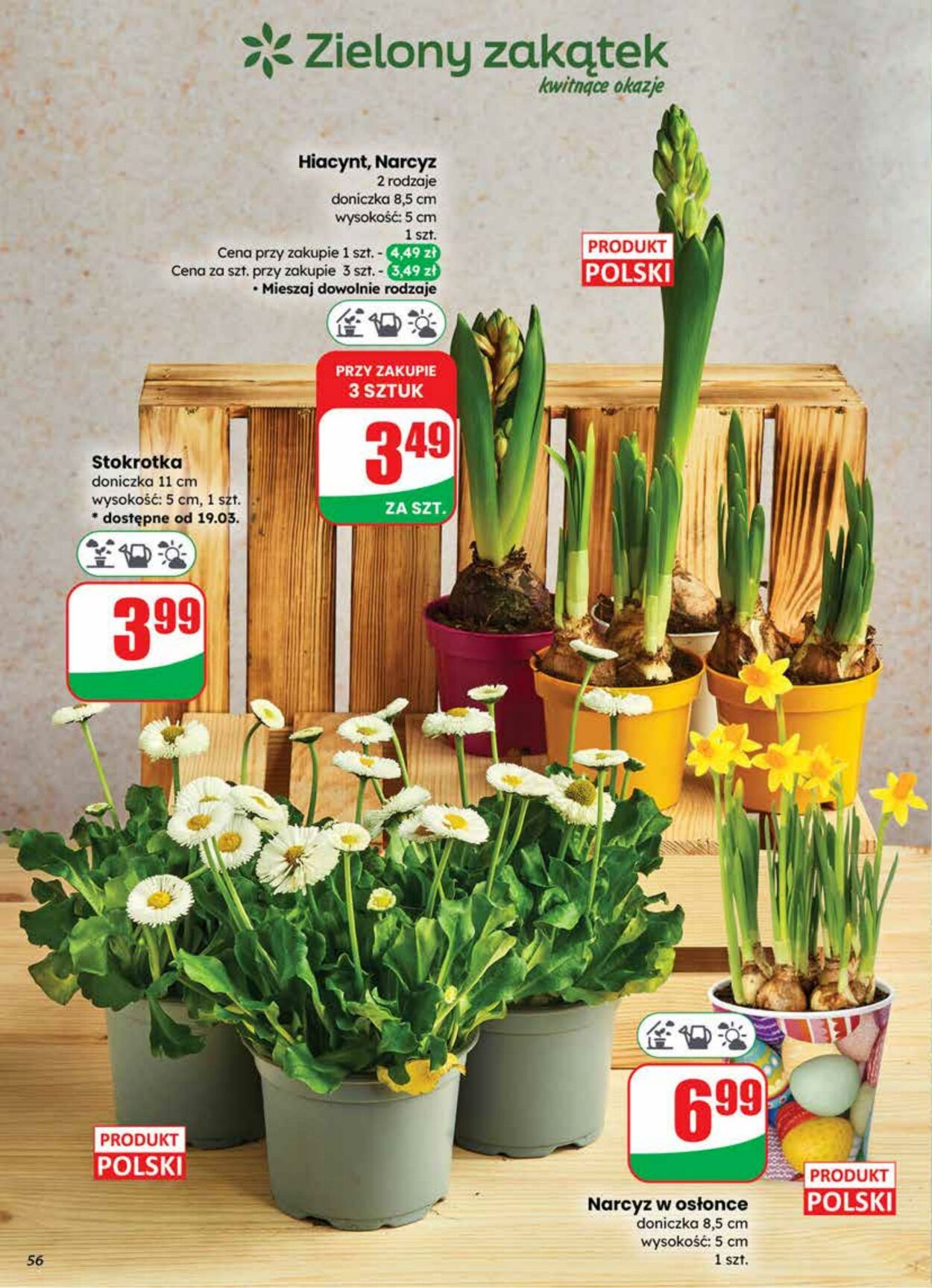Gazetka DINO 18.03.2026 - 24.03.2026