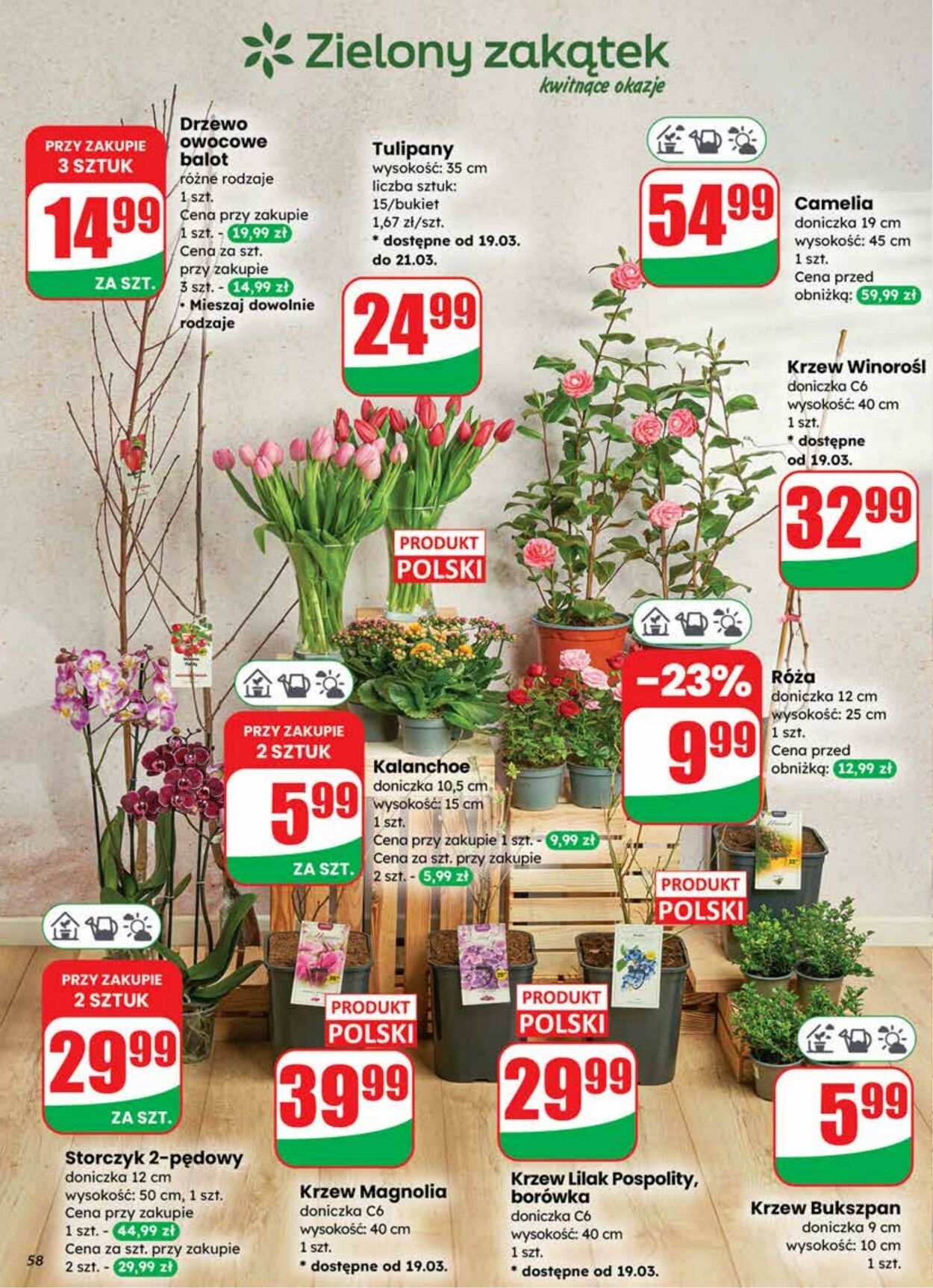 Gazetka DINO 18.03.2026 - 24.03.2026