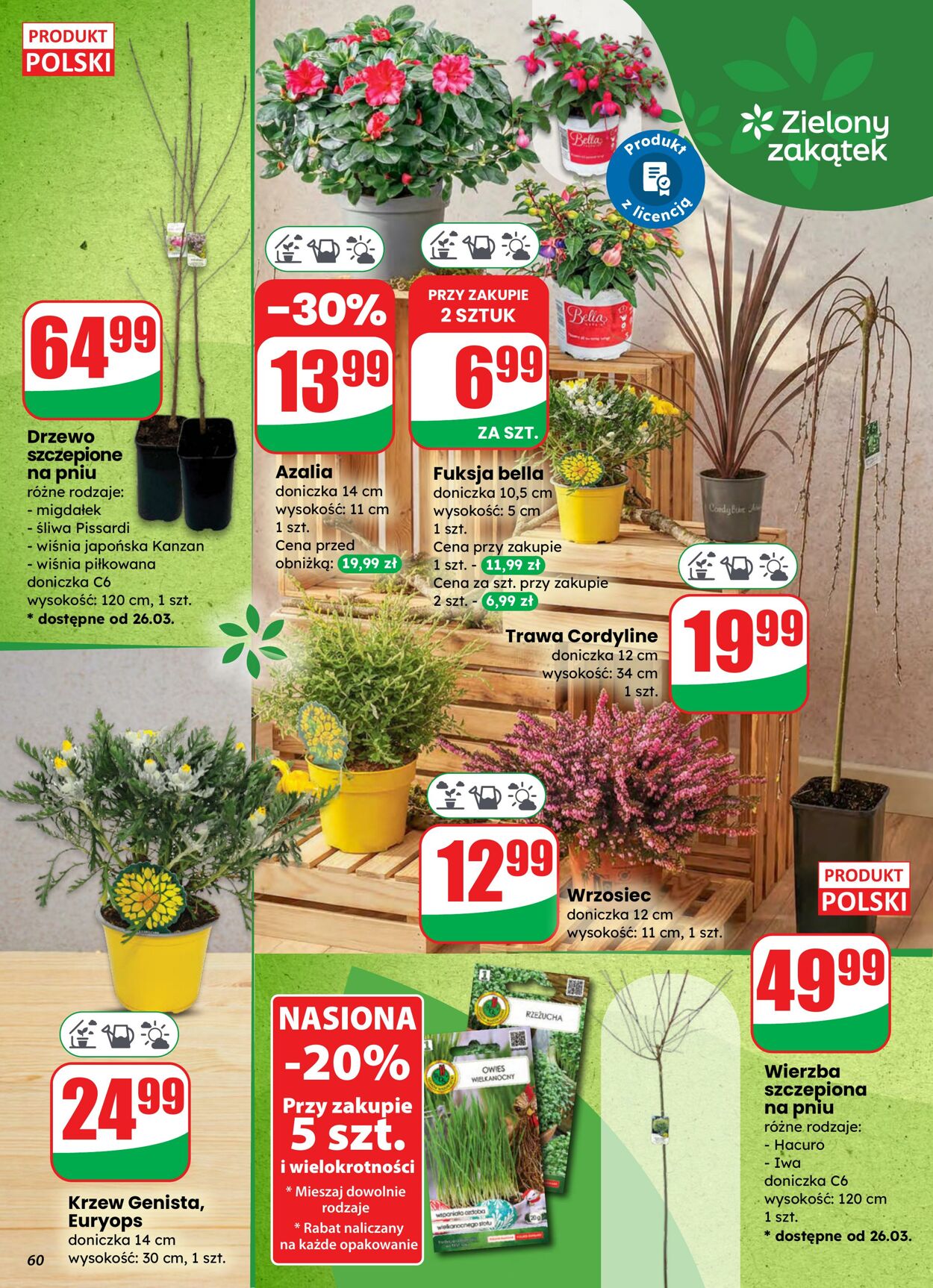 Gazetka DINO 25.03.2026 - 31.03.2026