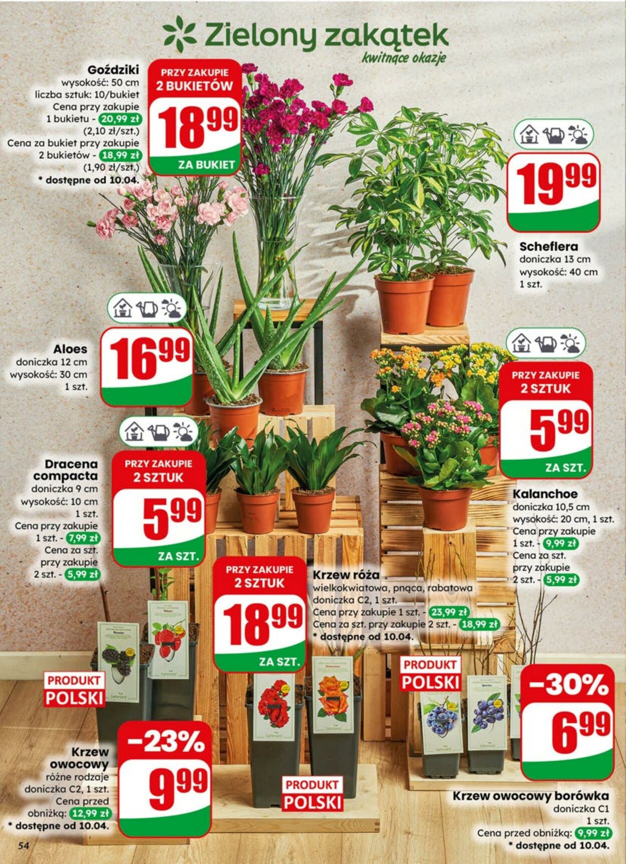 Gazetka DINO 08.04.2026 - 14.04.2026