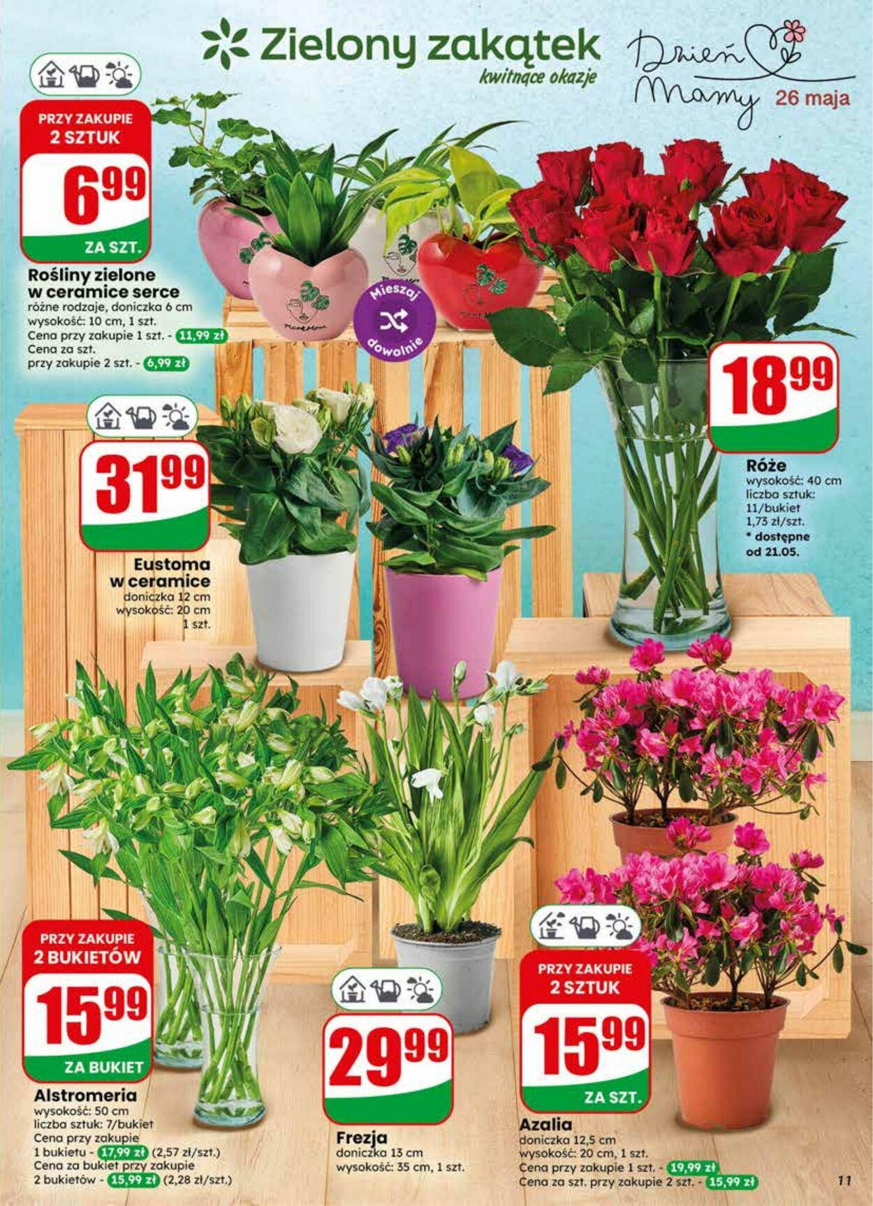 Gazetka DINO 20.05.2026 - 26.05.2026
